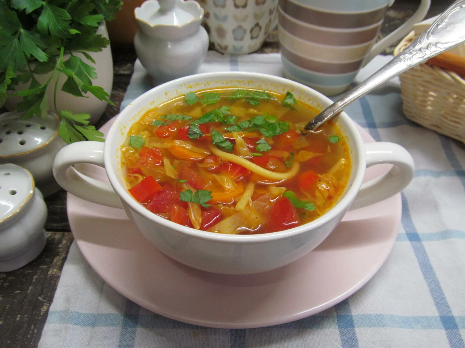 Овощной суп с капустой. Суп овощной с капустой и болгарским перцем. Суп с болгарским перцем и курицей. Суп овощной щи.