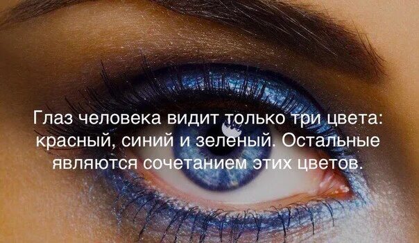 Ее видит только. Глаз человека видит только три цвета. три цвета которые видит человек. человек видит цвет. человек видит только зеленый.