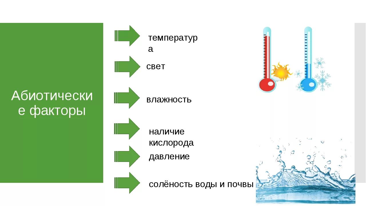 Влажность как экологический фактор. Абиотические факторы свет влажность. Температура как фактор среды. Абиотические факторы температура. Температура воды в частном