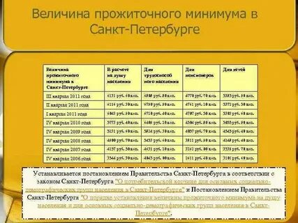 Прожиточный минимум на 2025 год в спб