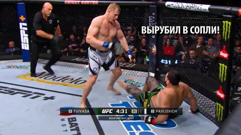 Видео боя павлович