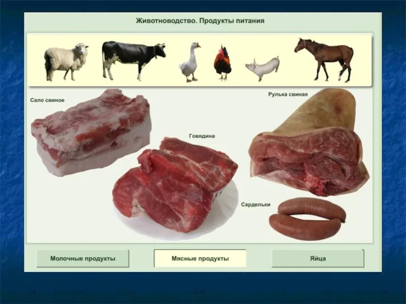 Проведи исследование какие продукты животноводства ты используешь. Получение продукции животноводства. товары для животноводства. продукция животноводства схема. пища животноводства.