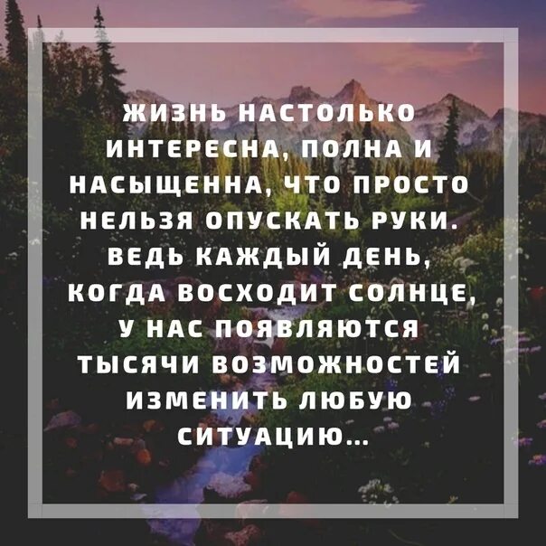 Чувство юмора открытки. Открытки с юмором. Высказывания роя. Нелогичная женщина. Не стоит настойчиво интересоваться моей жизнью.