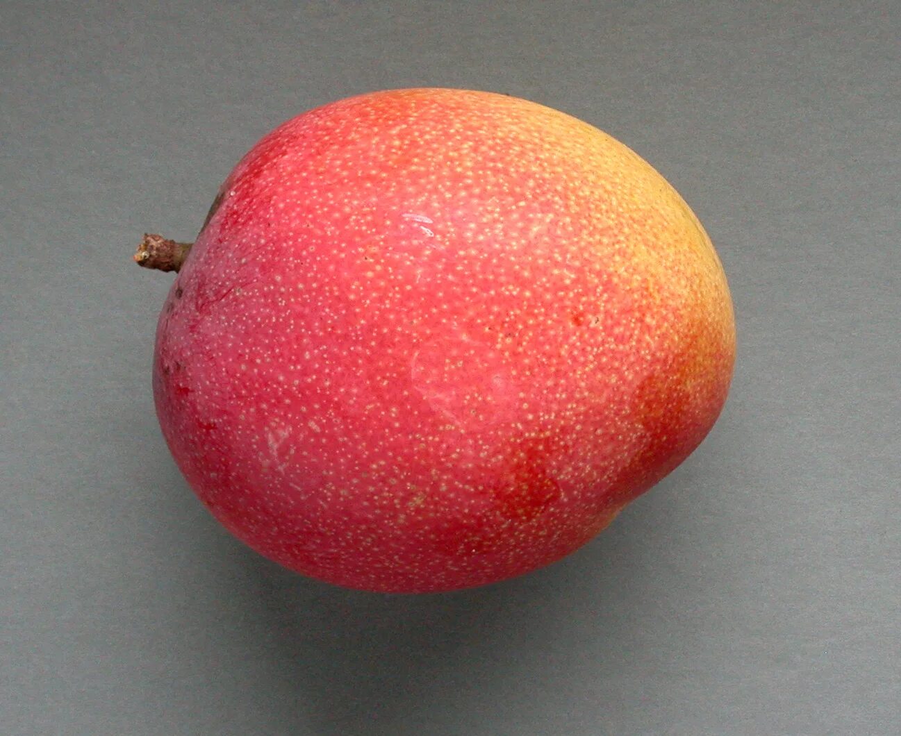 Круглый манго. Манго дыня. Манго кент египет. Манго круглый. Манго королевский.