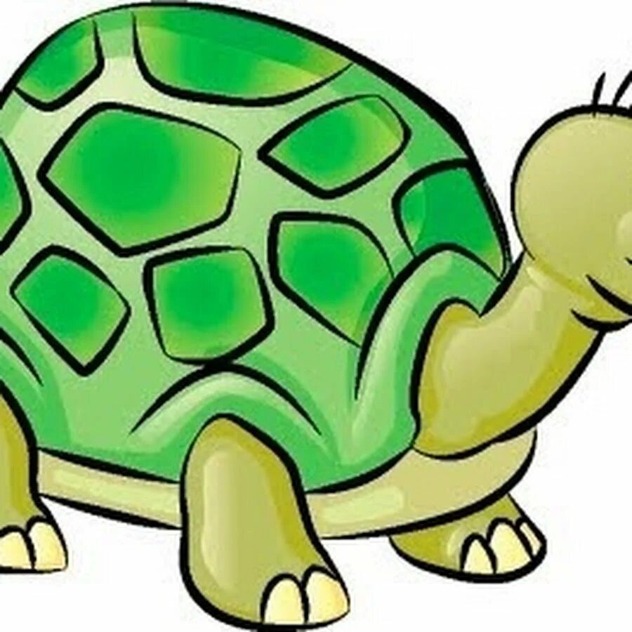 Мультяшные черепахи. Черепашка мультяшная. Черепаха рисунок. Черепаха для дошкольников. Черепаха в очках картинка