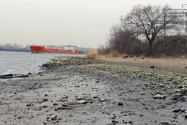 Температура воды в реке дон в ростове. Обмеление реки Дон. Сгон воды в реке Дон. Обмелевший Дон в 2020. Дон обмелел 2022 декабрь.