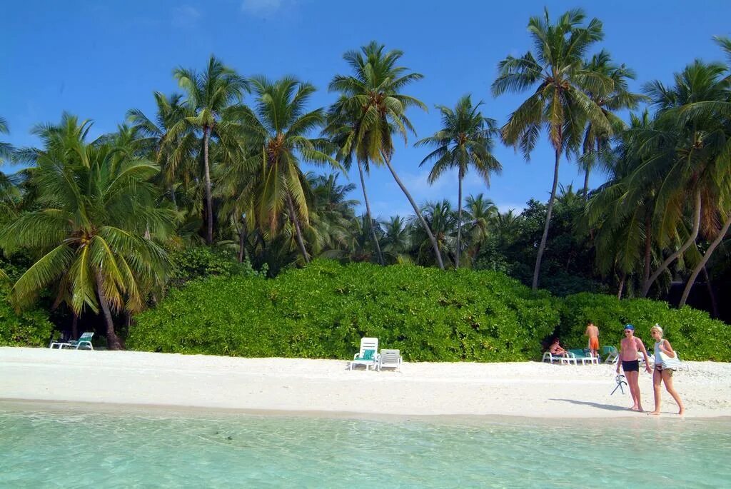 Island resort 3. Biyadhoo Island Resort 3*. Остров Бияду Мальдивы. Biyadhoo Island Resort 3 Южный Мале. Biyadhoo Island Resort, South male Atoll.