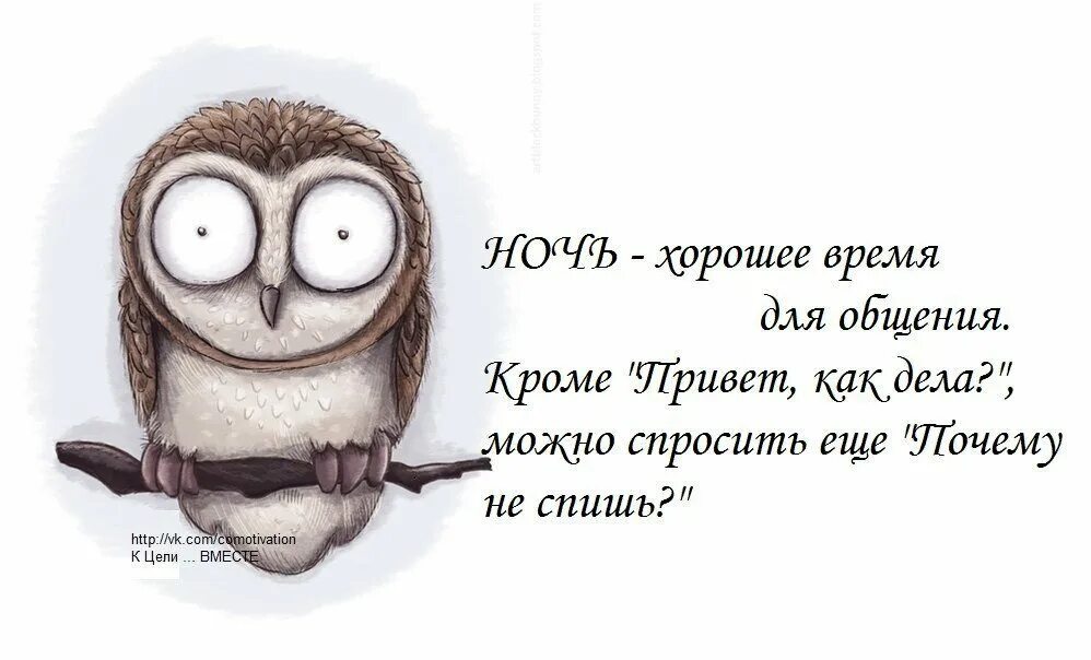 Сон вдруг. Бессонница статусы. бессонница цитаты. цитаты про бессонницу смешные. приколы про сон в картинках.