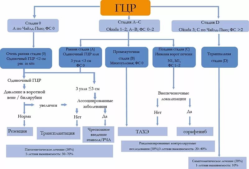 Метастазы в печени 4 стадия сколько живут. Барселонская классификация ГЦР. Гепатоцеллюлярная карцинома классификация. Патогенез гепатоцеллюлярной карциномы. ГЦР классификация.