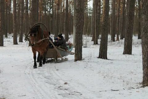 Город пересвет погода