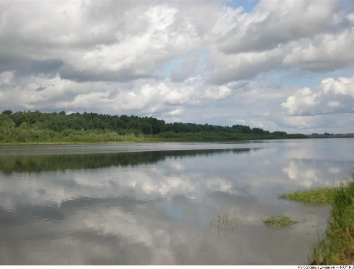 Вода в реке сура. Сура Саранск река. Река Сура Ядрин. Река Сура Марий Эл. Река Сура в Чувашии.