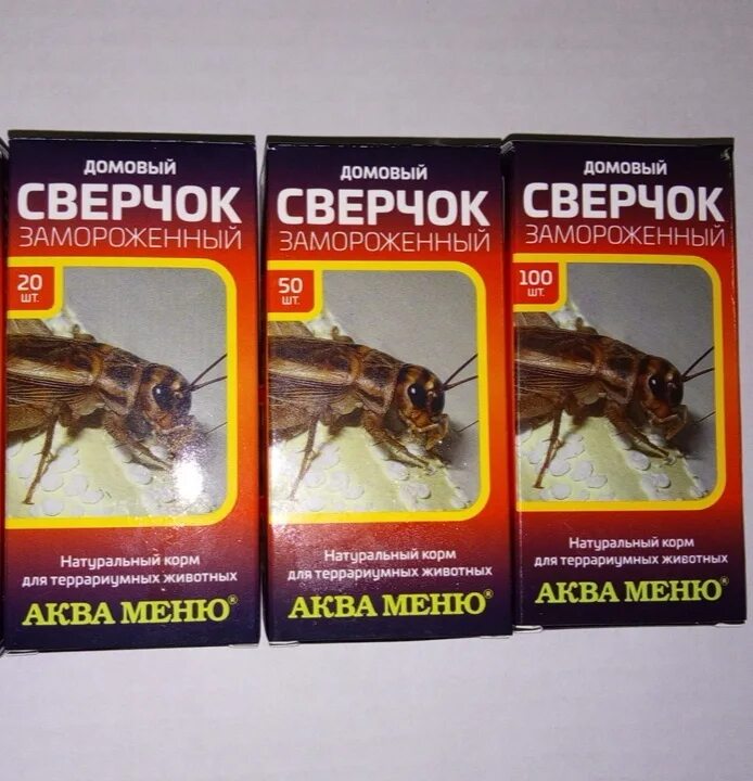 Acheta domesticus домовый сверчок. Сверчки заморозка. Аква меню сверчок. Корм для сверчков.