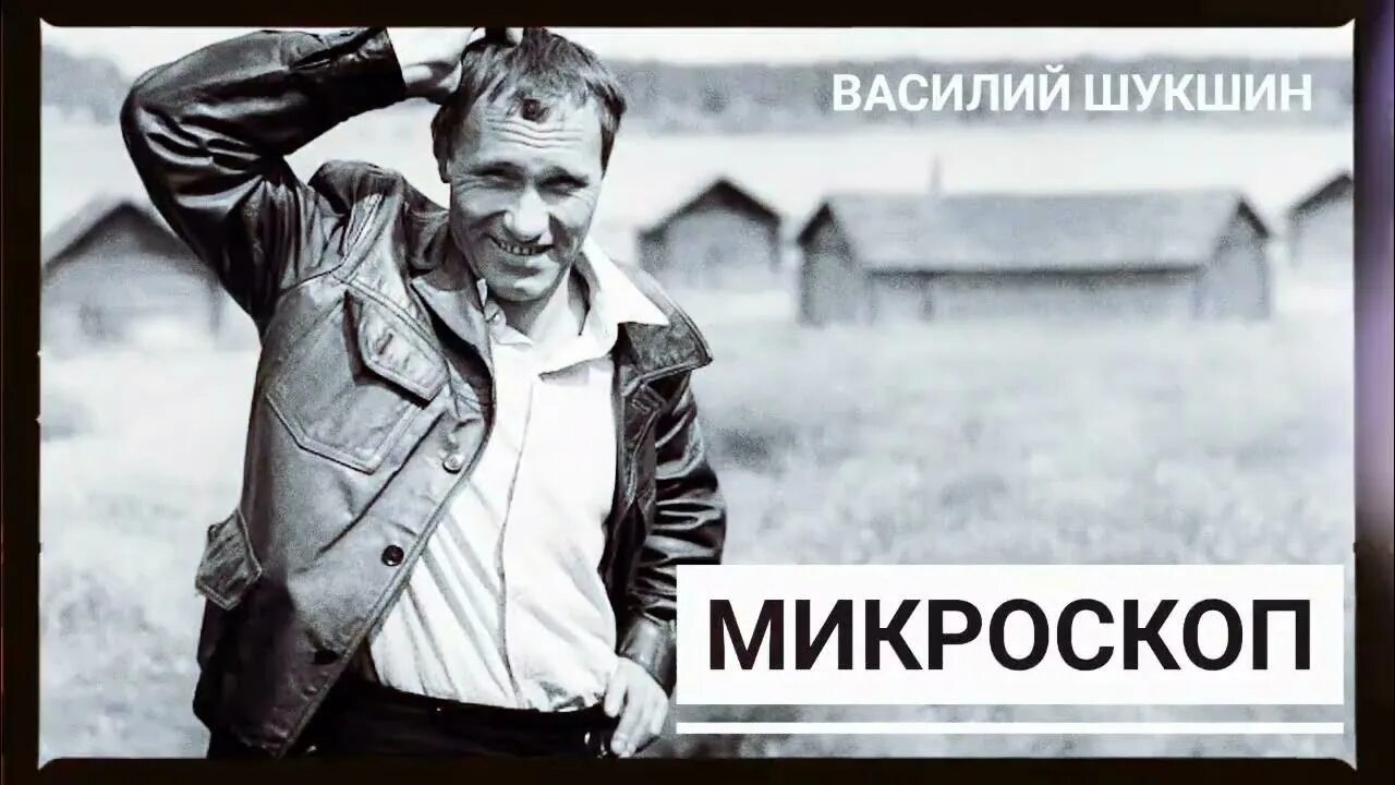 Содержание рассказа микроскоп шукшина. Шукшин микроскоп иллюстрации. Шукшин психопат. Шукшин сказал.