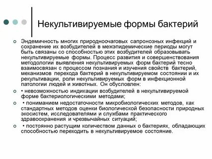 Покоящиеся формы