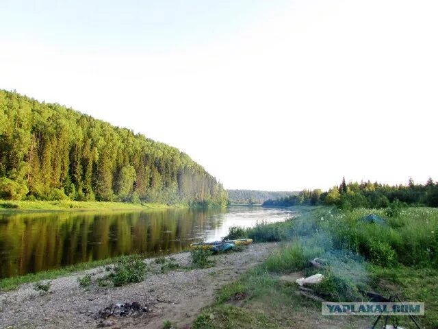 Река Сива Пермский край. Сива (приток Камы). Река Сива Воткинск. Сива Пермский край парк.