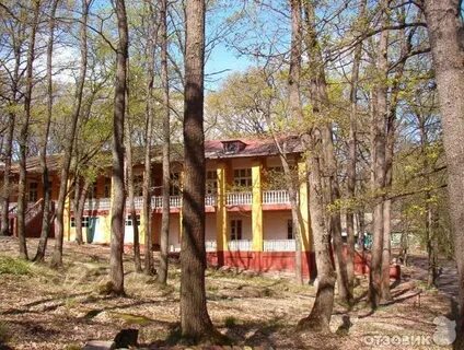 Детский лагерь ромашка