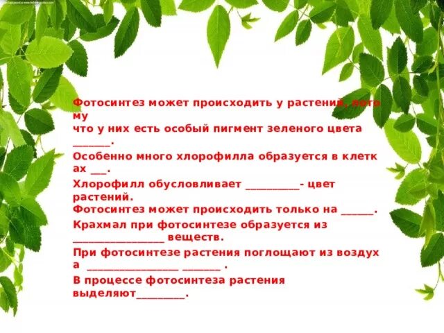 Растения обеспечивают жизнь другим растениям потому что. Много хлорофилла. Что образуется в клетках хлорофилла. Цвет растения если хлорофилла много. Фотосинтез презентация 6 класс.