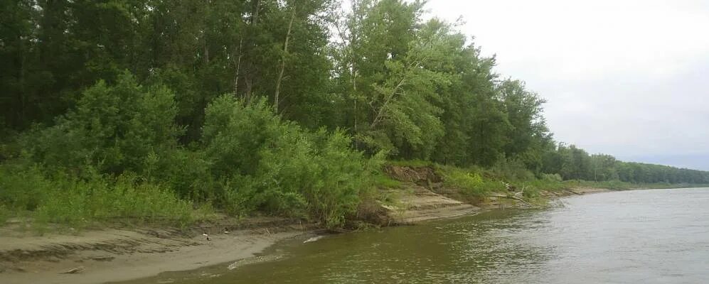 Томская область село красный яр. Кривошеинский район село Никольское. Никольское Томская область. Никольское Кривошеинский район Томская. С Никольское Томская область Кривошеинский район.