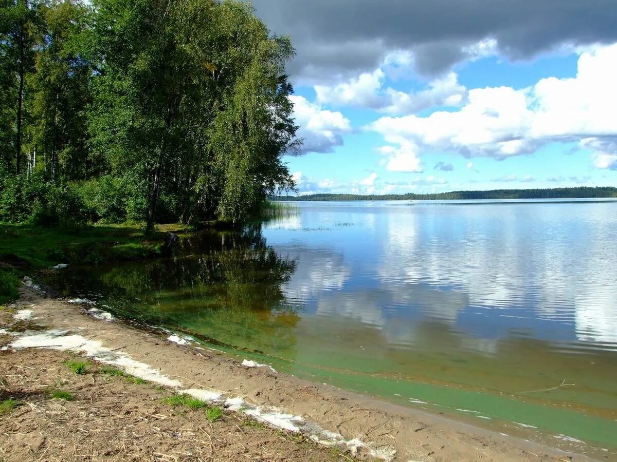 Озеро глубокое рыбалка. Оз Судачье Кингисеппский район. Озеро Судачье Кингисеппский район. Судачье озеро Ленинградская область. Озеро глубокое Кингисеппский район.