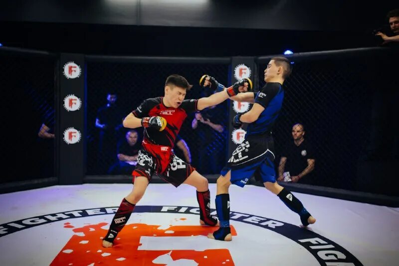 Taverun fighter supreme. Fighting 2023. Fury vs usyk. Fighting 2023. Fighting 2023.