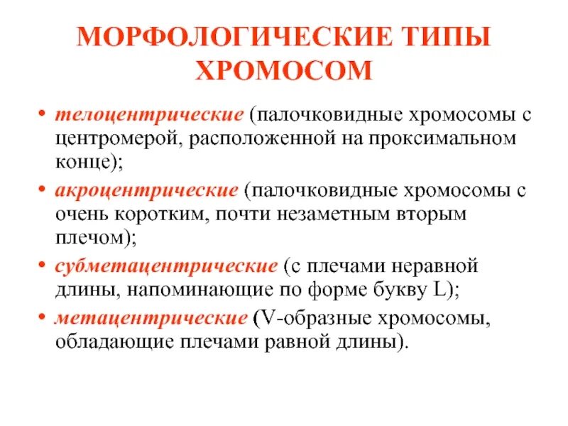 Строение хромосомы. Структура хромосом. 1. Хромосома схема. Структура и функции хромосом.