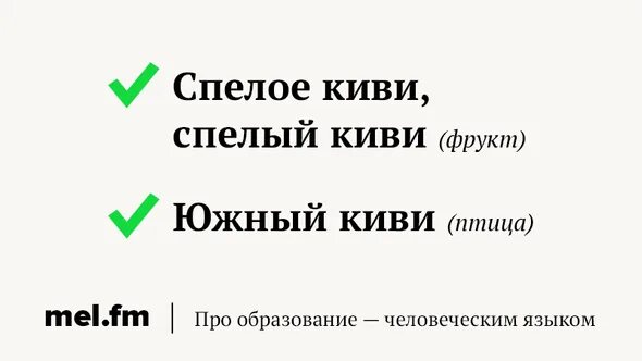 Род киви в русском. Какого рода слово киви фрукт. Киви птица род существительного. Киви род существительного род. Киви фрукт какой род существительного.