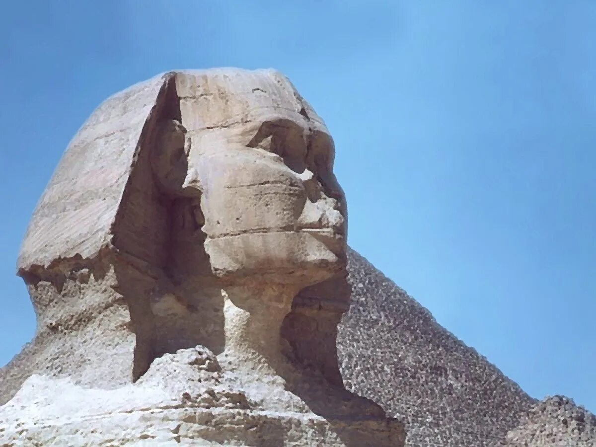 Сфинкс статуя в Египте. Статуя в Египте сфинкс 2021. Египетский сфинкс вид сверху. Царь разгадавший