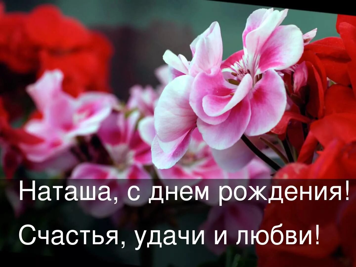 С днём рождения натвшв. ССДНЕМ рождения Наташа. НАНАТАША С днем рождения. С днем рождения наиага. Открытки с днем рождения натусик