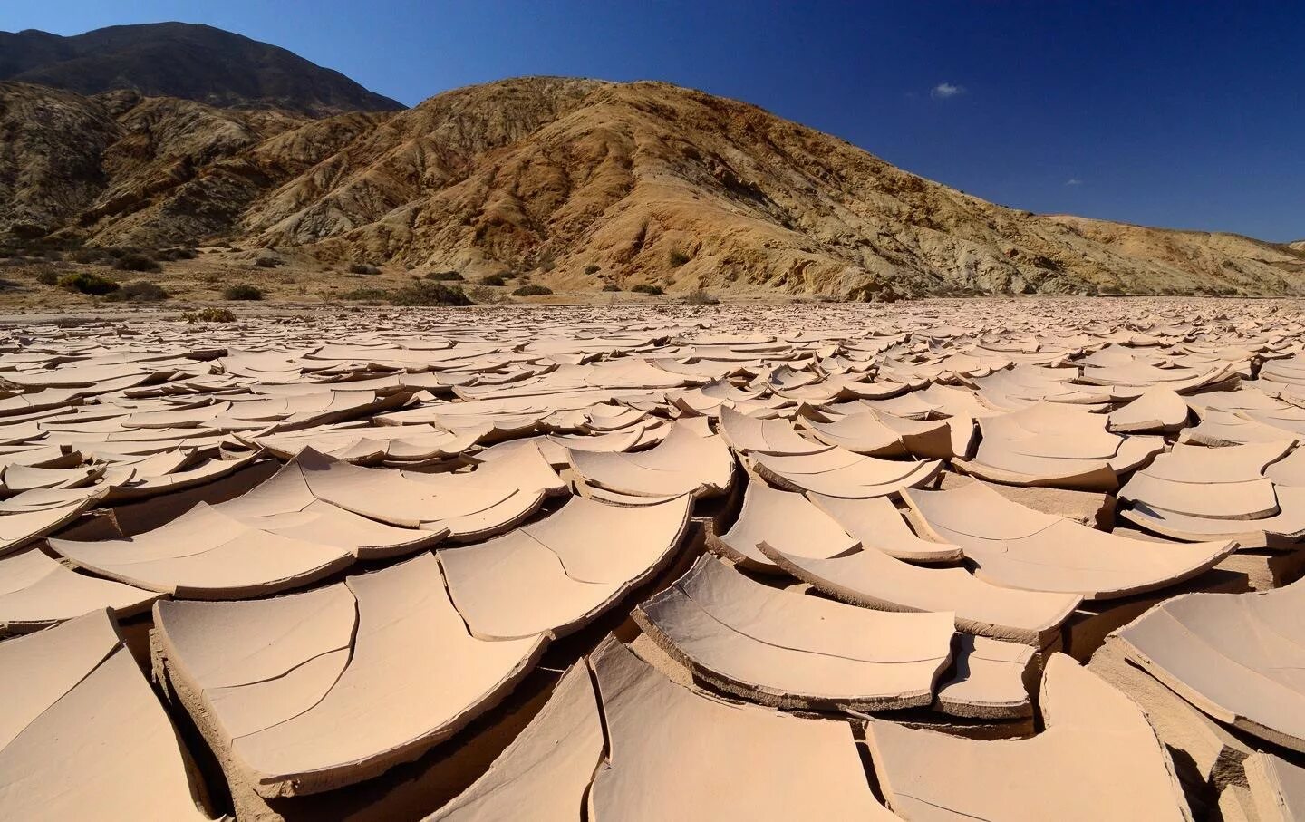 Harsh environments