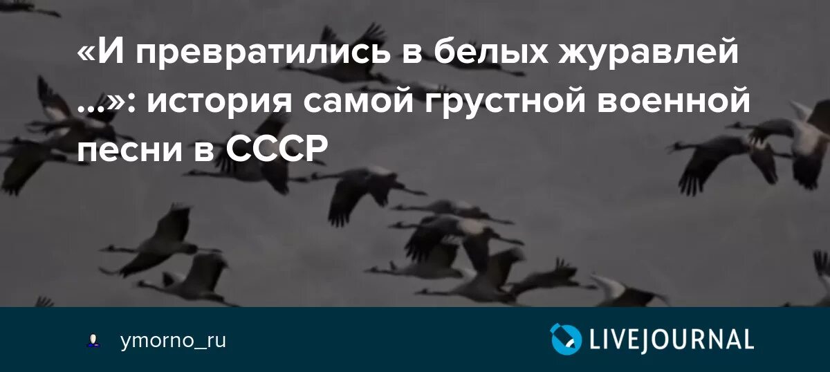 Песня журавли памяти крокус сити. А превратились в белых журавлей. Журавли песня. Солдаты превращаются в журавлей.