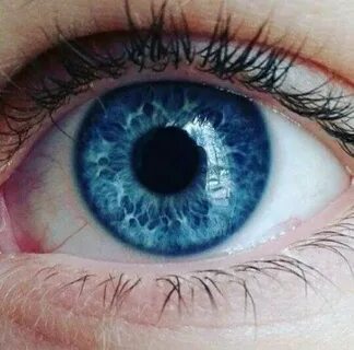Colour the eyes blue