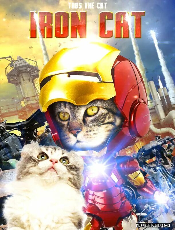 Включи железный кот. Железный кот. Плакаты с кошками. Кот Железный человек. Постер Cats.