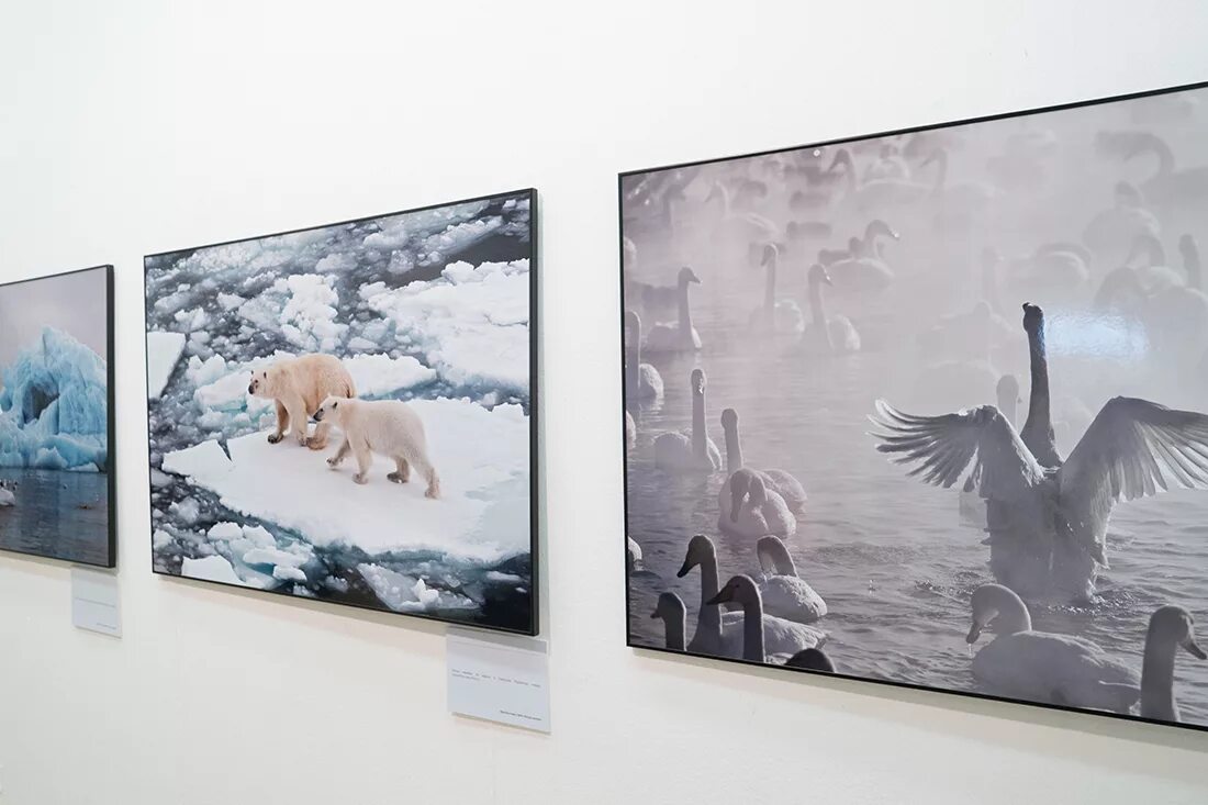 выставка первозданная. выставка первозданная. выставка первозданная. выставка первозданная россия в новой третьяковке. первозданная россия выставка 2023.