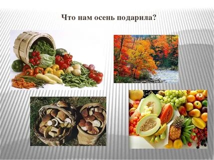 Беседа что нам осень принесла