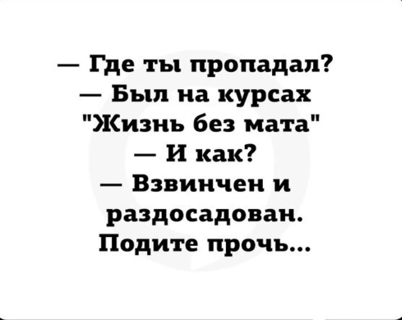 Цитаты с матом. Был на курсах жизнь без мата. юмор с матом. шутки с матом. прикольные статусы без матов.