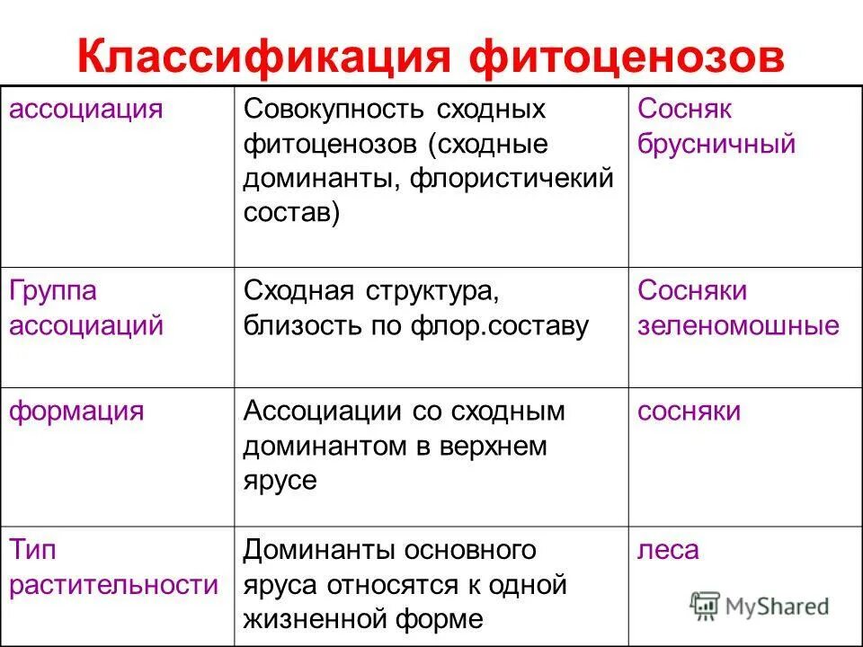 Классификация фитоценозов. Фитоценозы таблица. Классификация растительных сообществ. Название фитоценоза. Структура растительного сообщества 7 класс тест