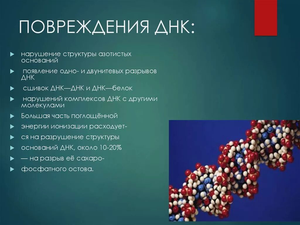 Генетическим повреждением. Повреждение ДНК. Нарушение строения ДНК. Повреждение ДНК последствия. Факторы вызывающие повреждения ДНК.