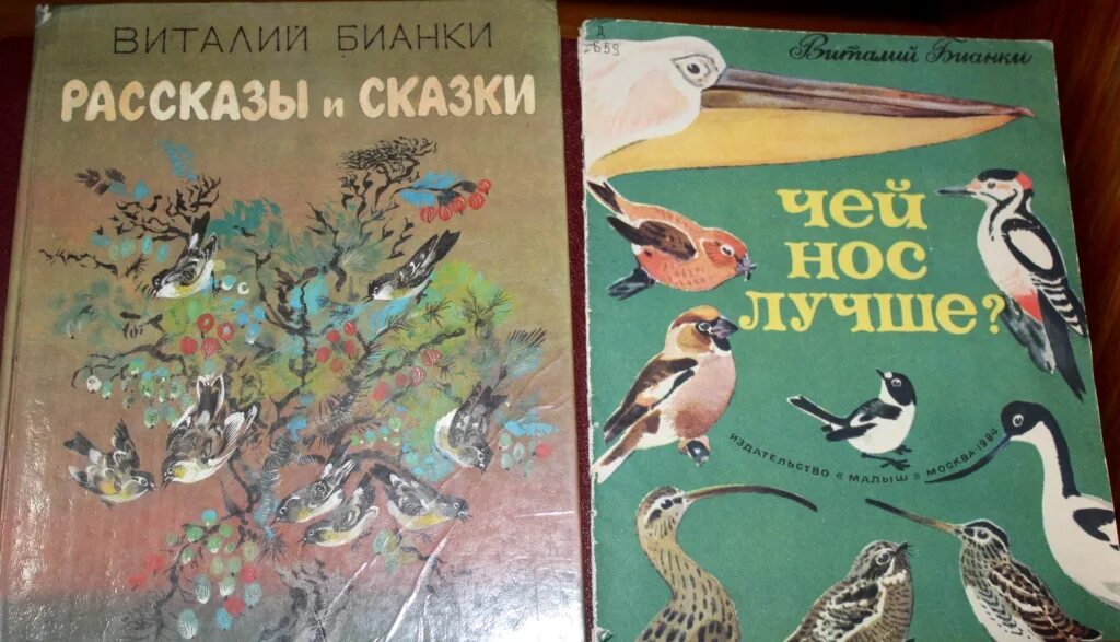 Бианки жанр произведений. Рассказы Виталия Бианки. Бианки рассказы книга. J,KJ;RF dbnfkbq ,bfyrf рассказы о природе.