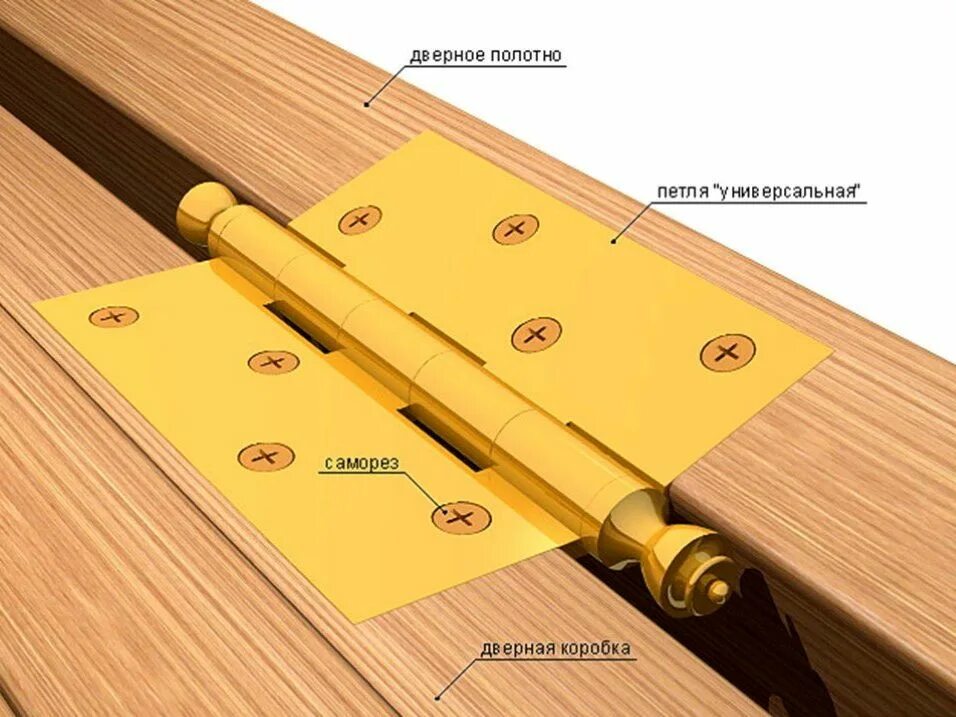 Шарнир между. Разметка петель на двери межкомнатные. Как правильно установить петли на межкомнатную дверь с коробкой. Врезка петель в межкомнатные двери. Как поставить шарниры на межкомнатные двери.