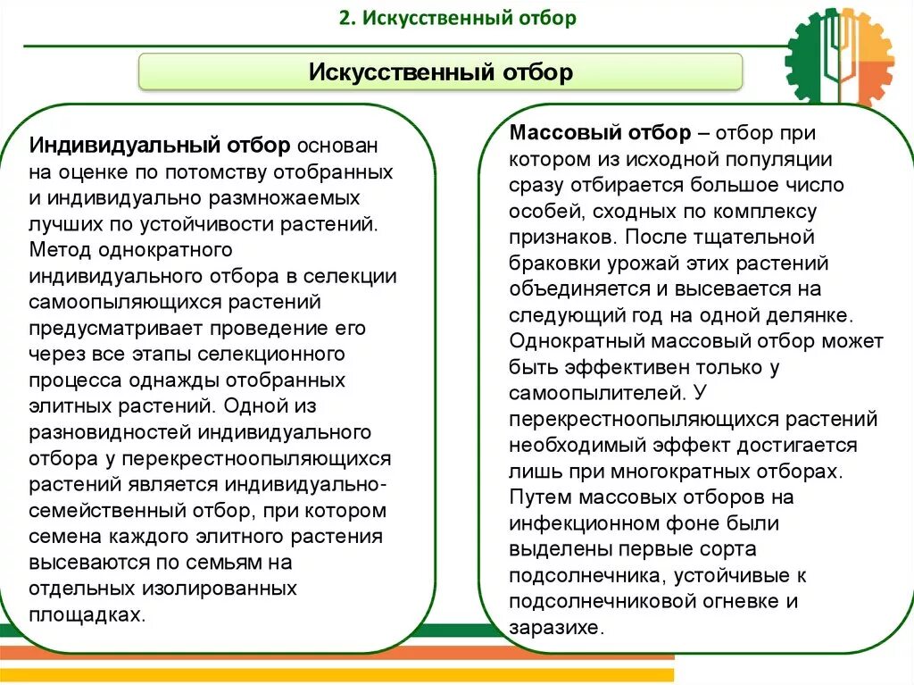 Искусственный отбор массовый и индивидуальный. Массовый и индивидуальный искусственный отбор сравнение. Массовый отбор значение. Цель индивидуального отбора.