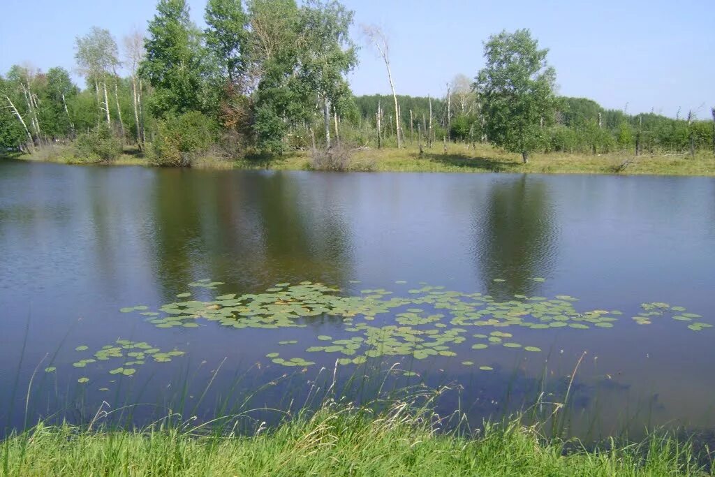 Озеро Бергуль Куйбышевский район. Река Омь Куйбышев. Аул Омь Куйбышевский район. Верх-Ича Куйбышевский район Новосибирская область. Аулы новосибирской области