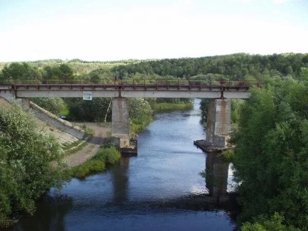 Р через ж. Лиски мост через дон. Путепровод ряжск. Жд мост тавда. Жд мост россошь.