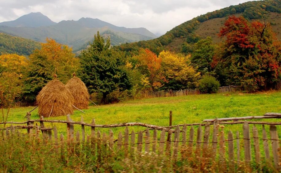 Северная осетия сады. Южная Осетия осенью. Северная Осетия осенью. Южная Осетия природа. Лес \Южная Осетия.