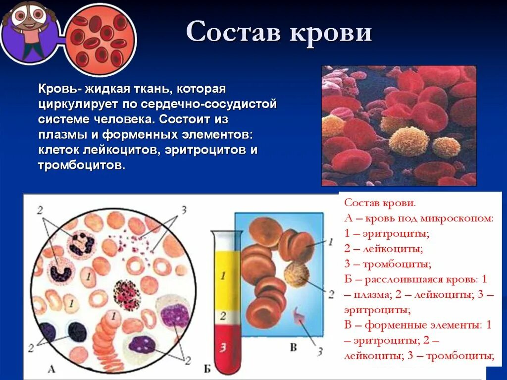 Кровь жидкая часть таблица. Составы крови плазма крови и форменные элементы крови. Состав крови: кровяные клетки. – Кровь состоит из плазмы и кровяных клеток. Состав крови плазма состав плазмы.