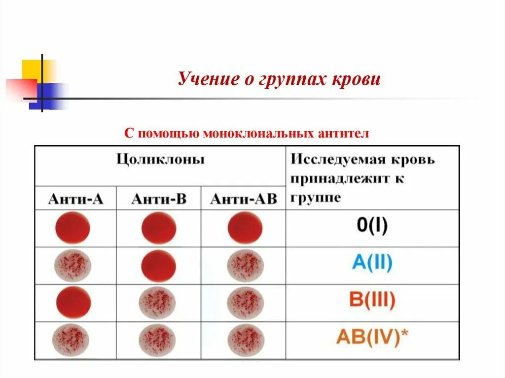 Белок определяющий группу крови. Цоликлоны 1 группа крови. Определение группы крови и резус фактора цоликлонами таблица. Как обозначают группу крови в анализе. Основные принципы определения групп крови.