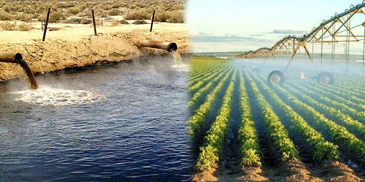 Орошение морской водой. Сельскохозяйственные сточные воды. Пестициды в воде. Сельскохозяйственное загрязнение воды. Загрязнение воды сельским хозяйством.