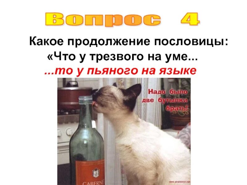Что у трезвого на уме то у пьяного на языке. Пословица пьяному море по колено. Пьяному море по колено. Пьяному море по колено. Пословица пьяному море по колено.