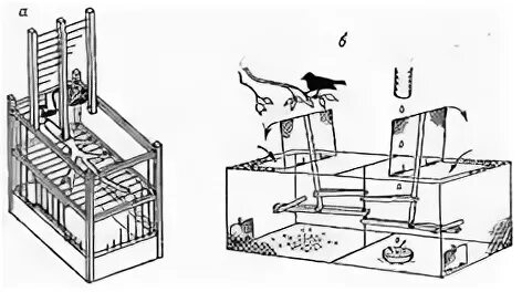 Чертежи ловушки фазана. Томский западок механизм. Клетка западок схема. Западня ЛОВУШКА для птиц. Механизм живоловушки спусковой