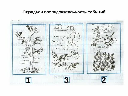 Тест определить последовательность действий