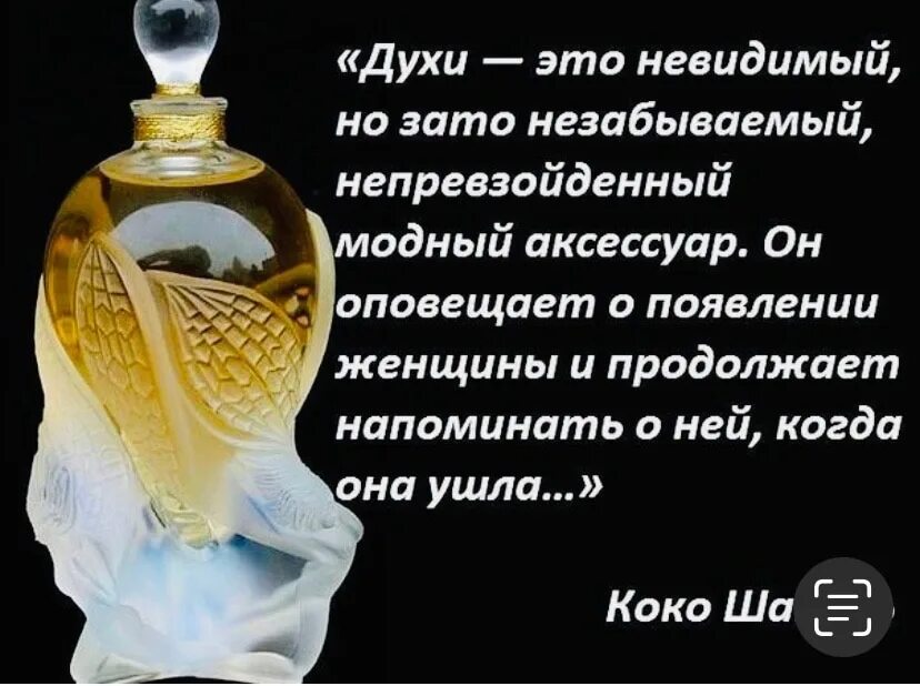 Высказывание о парфюмерии. Цитаты о парфюмерии. Цитаты проарфюм. Цитаты про духи. Дух духи и тел книга